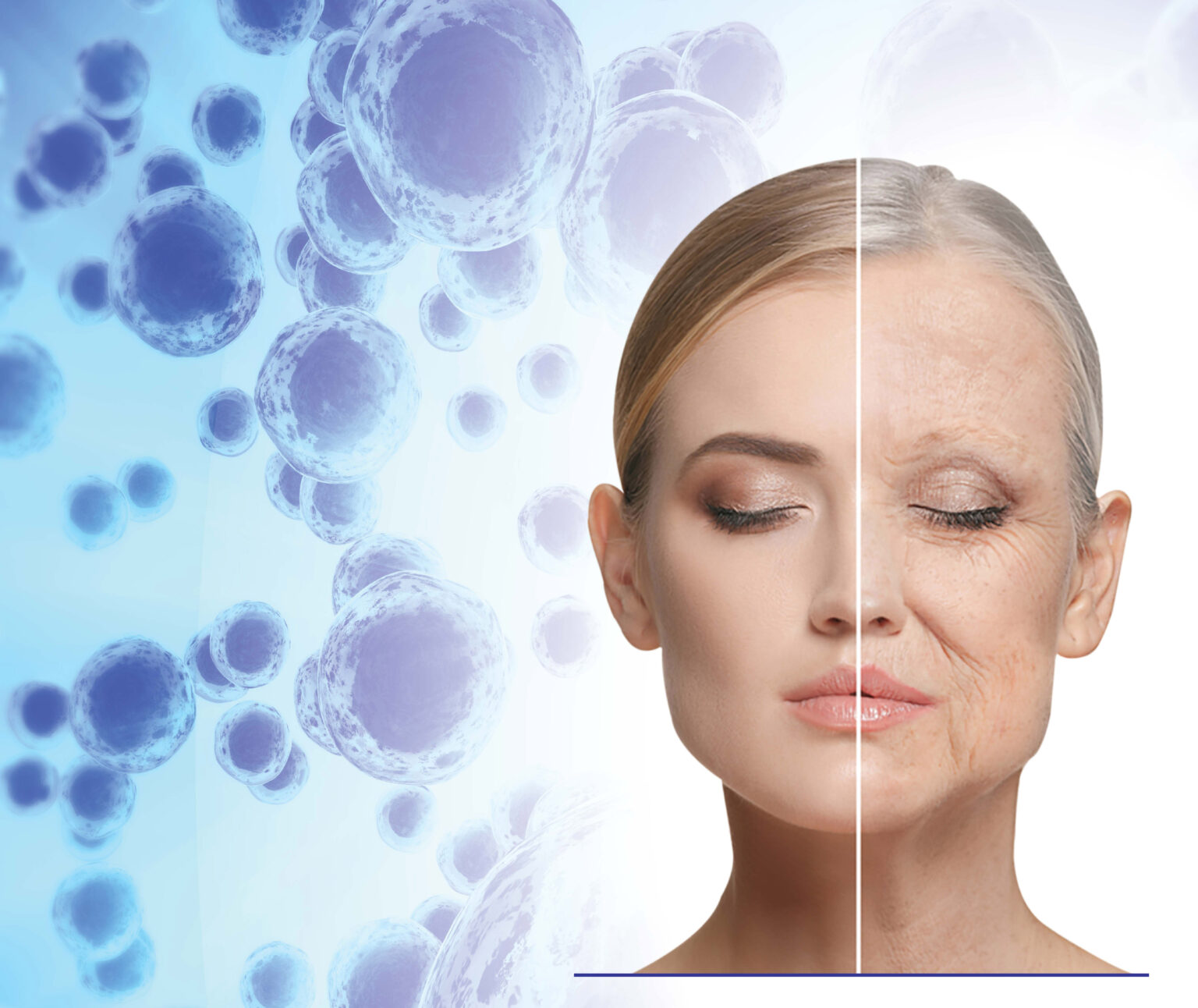 Stem Cells & Skin Rejuvenation