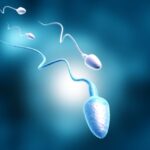 Scientists and researchers from “Bio Cell Laboratories” develop a new method for examining the genetic mutations that cause male infertility